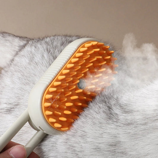 Brush Cleaning Steam