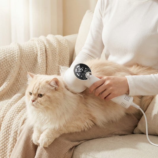Pet Hair Dryer