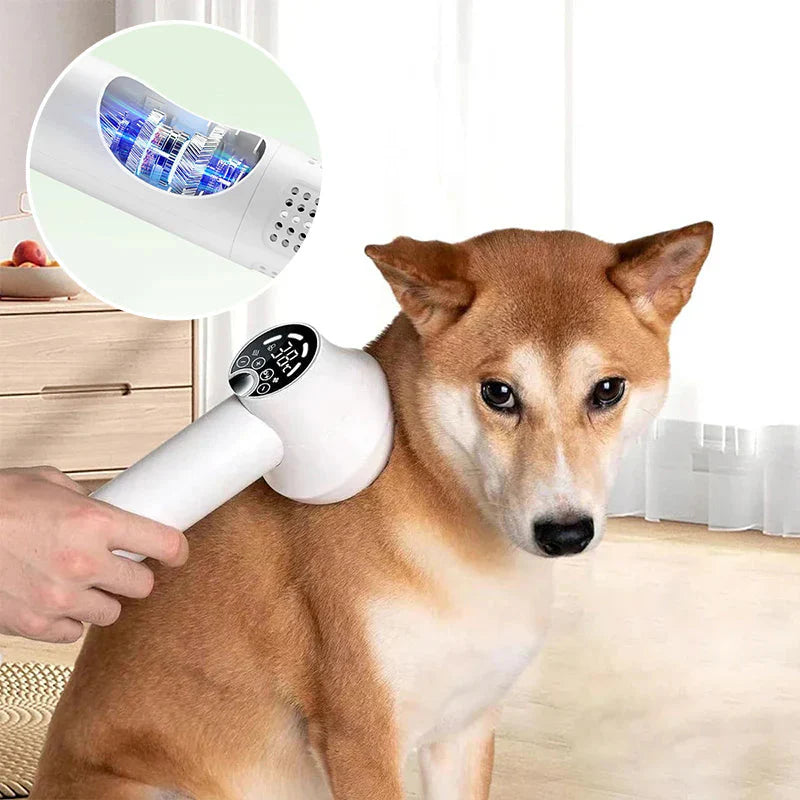 Pet Hair Dryer